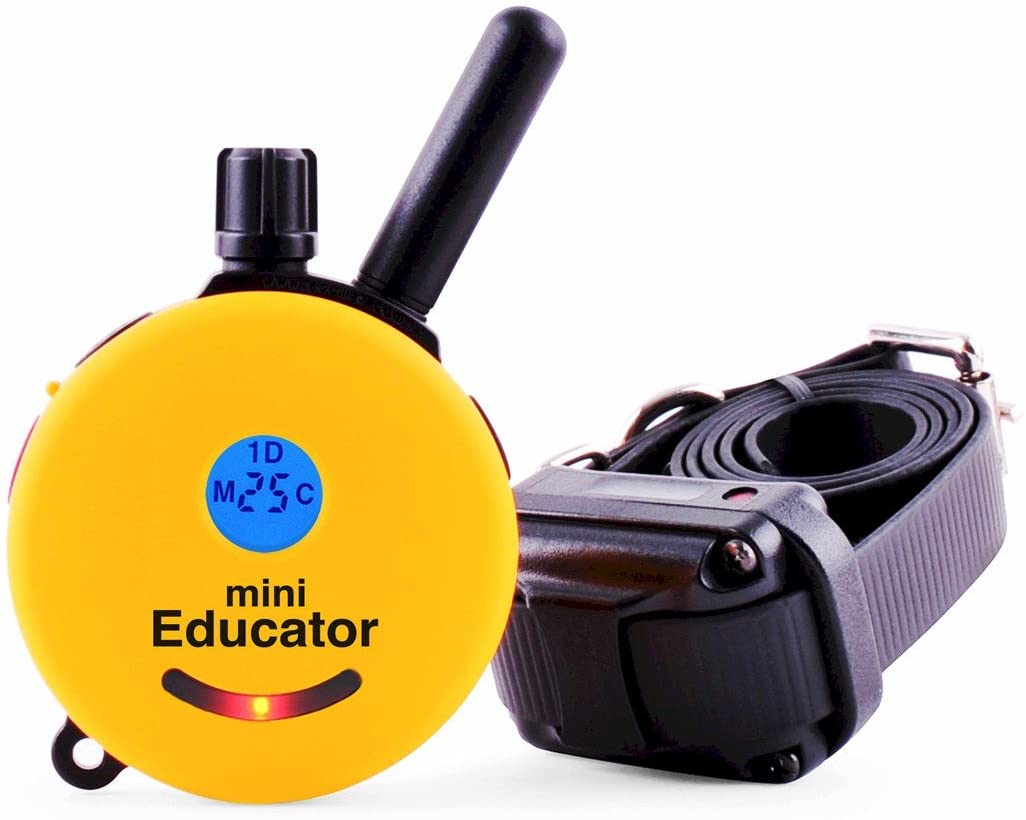 5 Best Shock Collars For Your Pets Better Dog Better dog